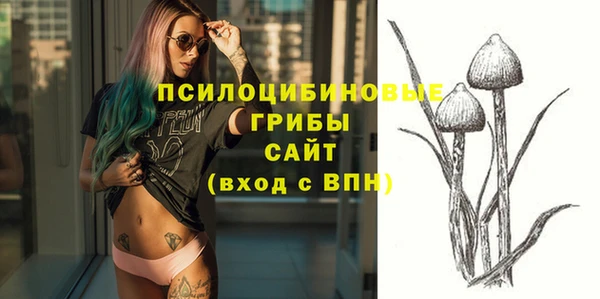 кокс Бородино