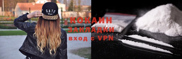 кокс Бородино