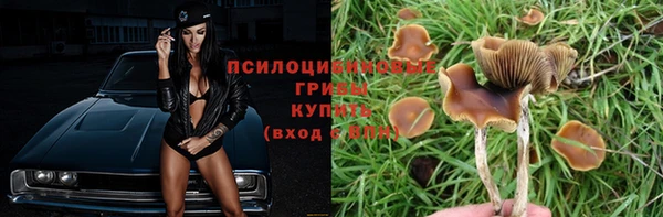 мескалин Богданович