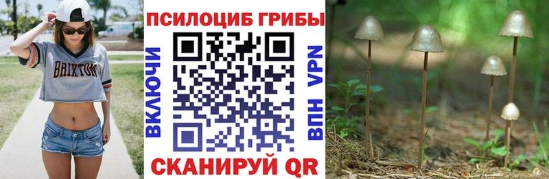 хочу наркоту  Красноярск  Псилоцибиновые грибы мухоморы 
